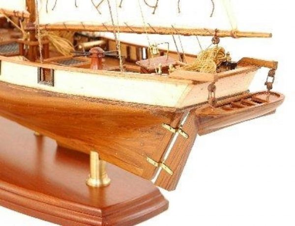 Maquette bateau - Albatross (Gamme Supérieure )
